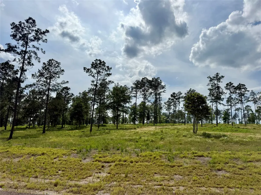 Lot 74 Western Road, Livingston, TX 77351 - #2