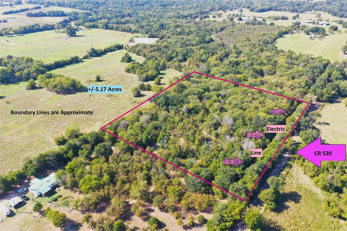 TBD County Road 520, Fairfield, TX 75840 - #1