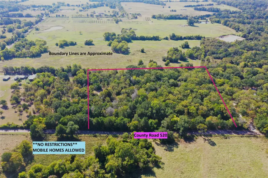 TBD County Road 520, Fairfield, TX 75840 - #2
