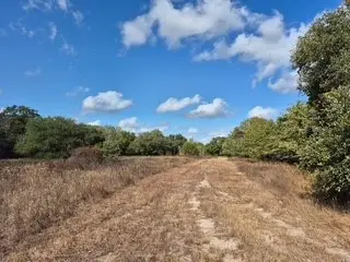 #3
