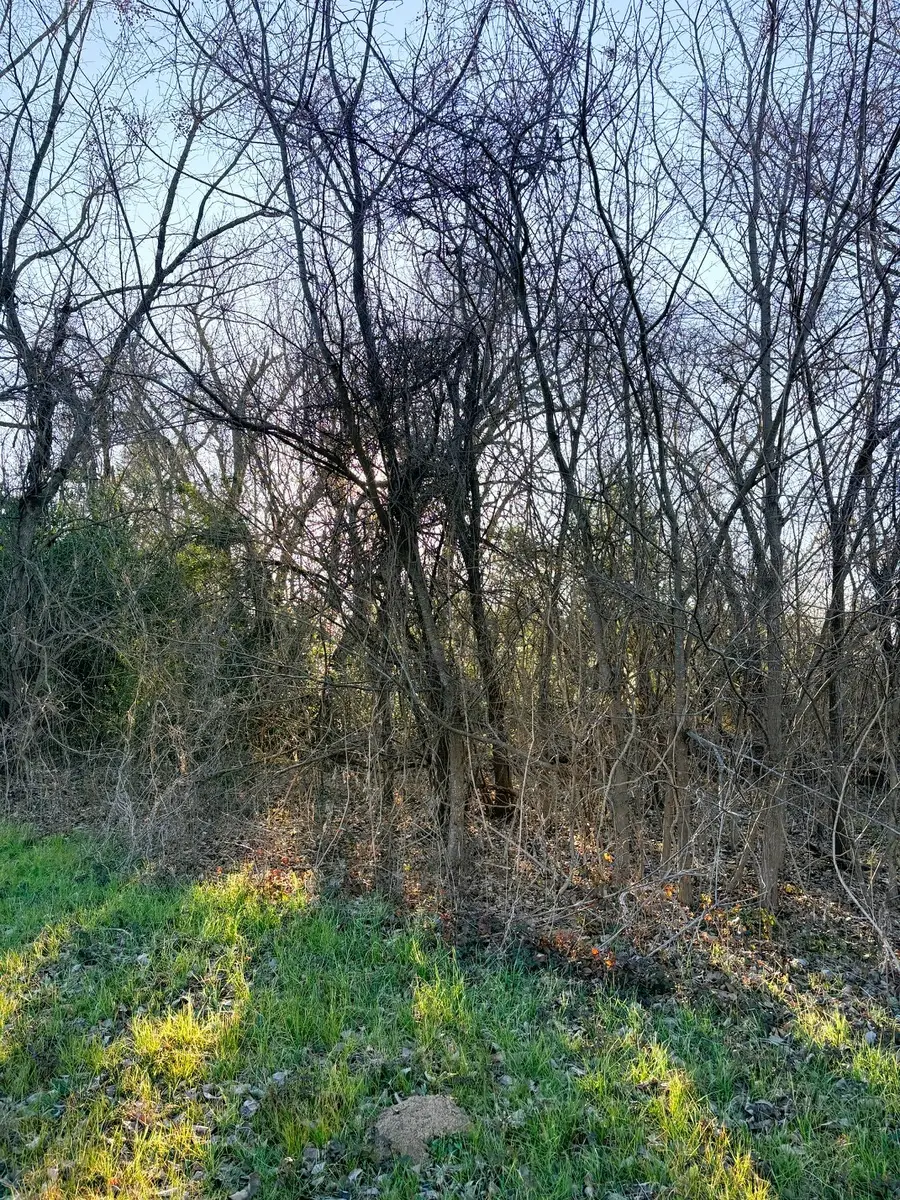 613 N San Jacinto, Hearne, TX 77859 - #3