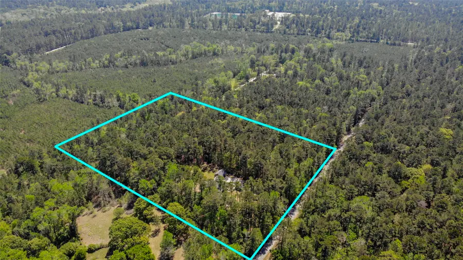 174 Raven Wood Street, Huntsville, TX 77320 - #2