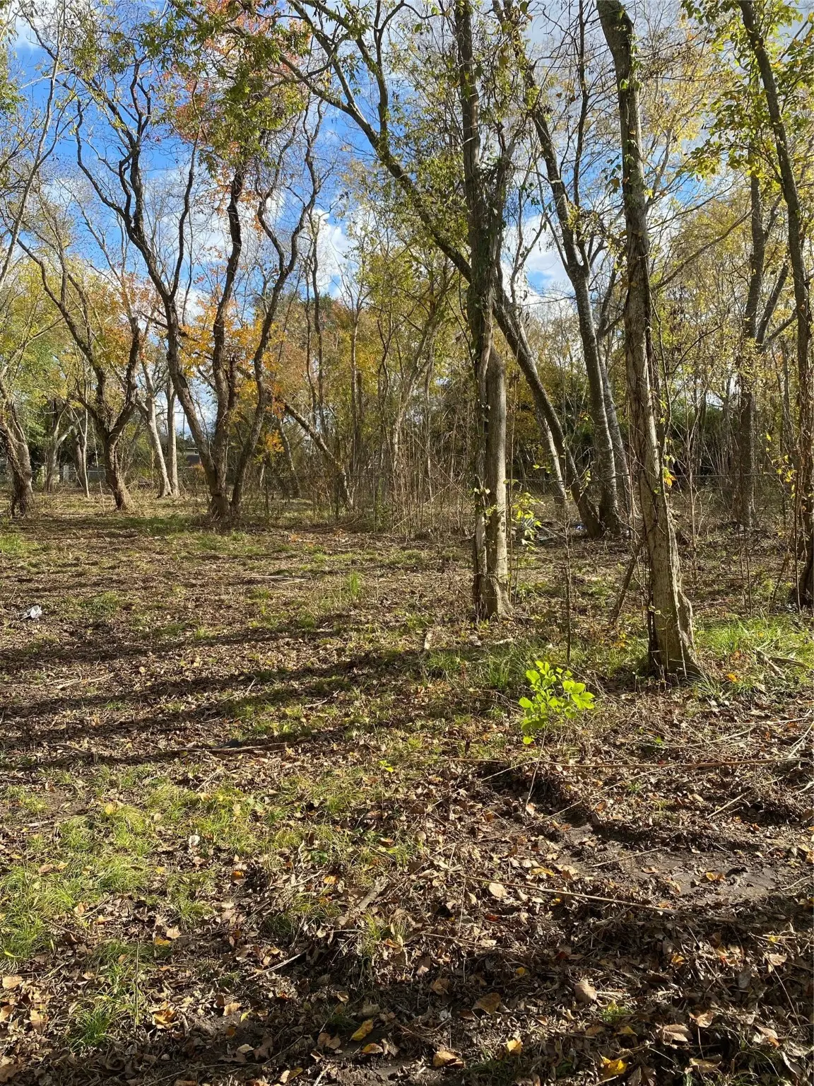 13700 Almeda School Road, Houston, TX 77047 - Image #1