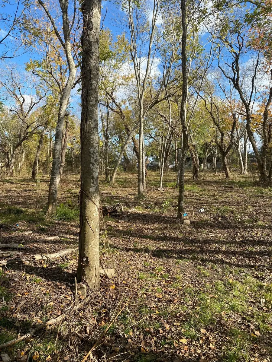 13700 Almeda School Road, Houston, TX 77047 - Image #2