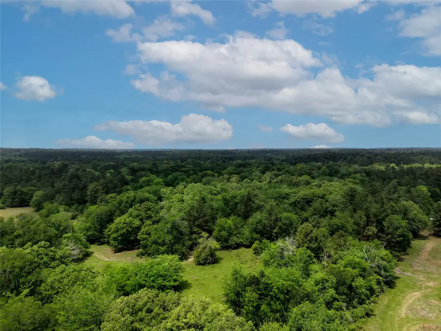 TBD Fm 1791 Road, Richards, TX 77873 - #2