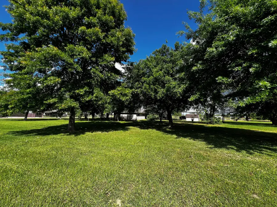 29007 Dove, Katy, TX 77493 - #2