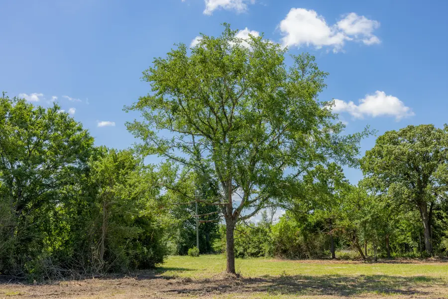 6512 Atakapan Trail, Bedias, TX 77831 - #2