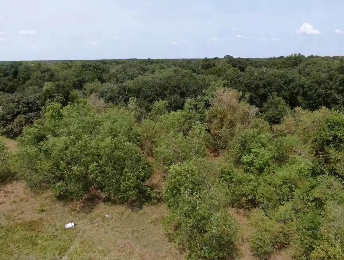 7800 B Brazos River Road, Damon, TX 77430 - #1