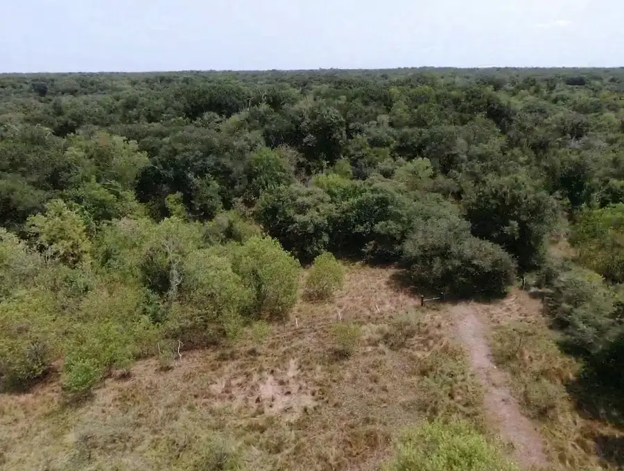 7800 B Brazos River Road, Damon, TX 77430 - #2