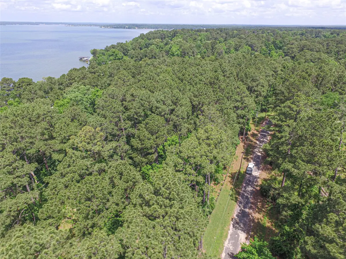 TBD Cedar Ln, Livingston, TX 77351 - Image #1
