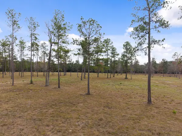 TBD LOT 3 Fm 3152 Road, Livingston, TX 77351