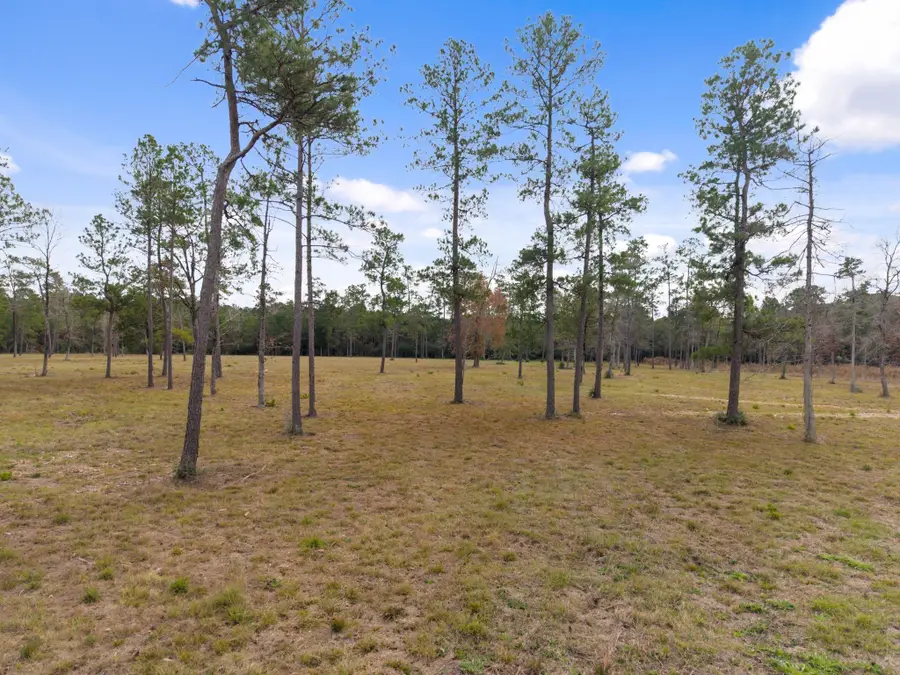 TBD LOT 3 Fm 3152 Road, Livingston, TX 77351 - #2