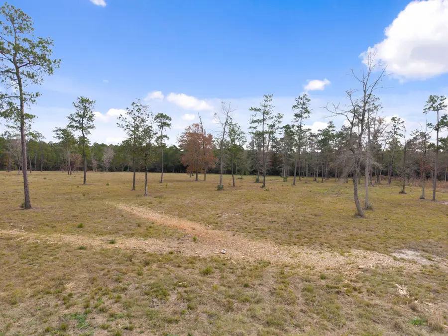 TBD LOT 3 Fm 3152 Road, Livingston, TX 77351 - #3