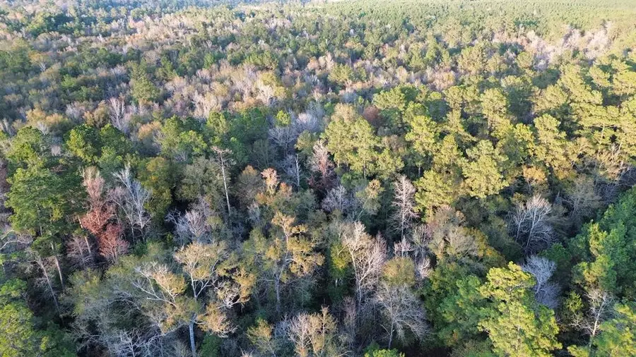 500 Pr 8170, Kirbyville, TX 75956 - #3