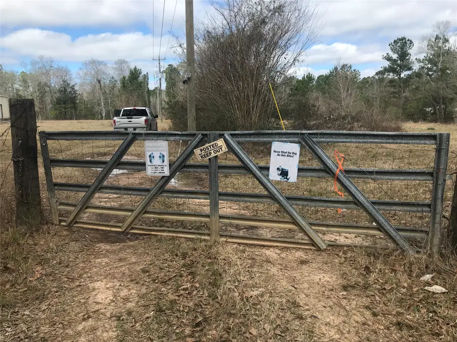 331 Hollywood Street, Livingston, TX 77351 - #2