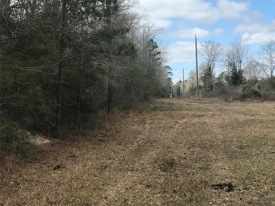 331 Hollywood Street, Livingston, TX 77351 - #3