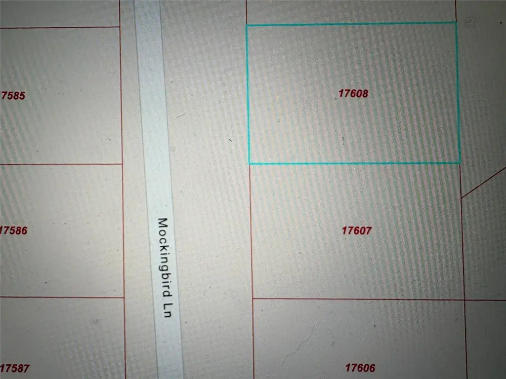 TBD Mockingbird Lane, Waller, TX 77445 - #1