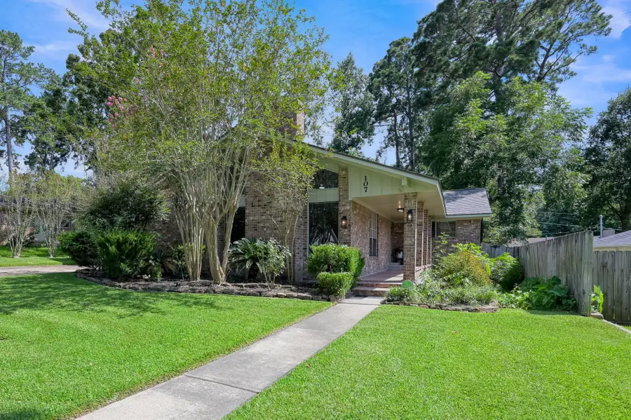107 Shadylyn Drive, Conroe, TX 77304 - #2