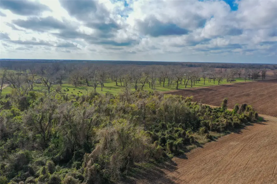 00 County Road 241, Wharton, TX 77488 - Image #3