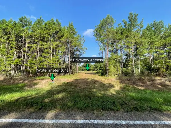 Lot 4 E Fm 942, Livingston, TX 77351