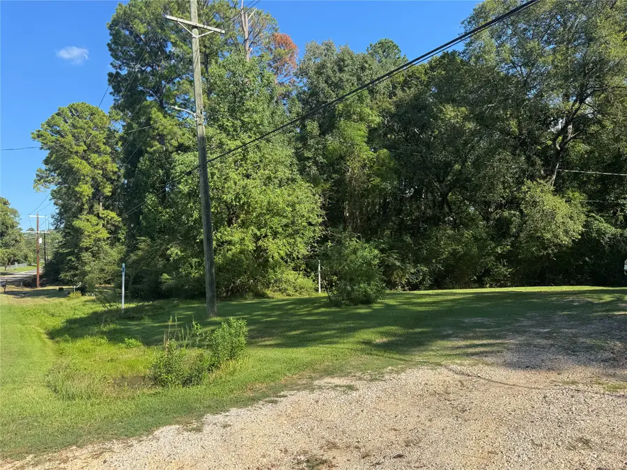 1310 Old Woodville Road, Livingston, TX 77351 - #3