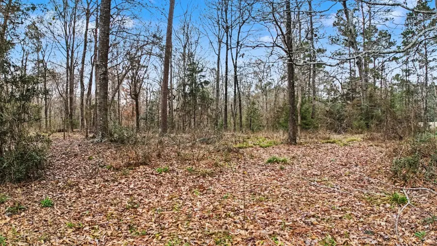 TBD Us Highway 96 S Highway, San Augustine, TX 75972 - #2