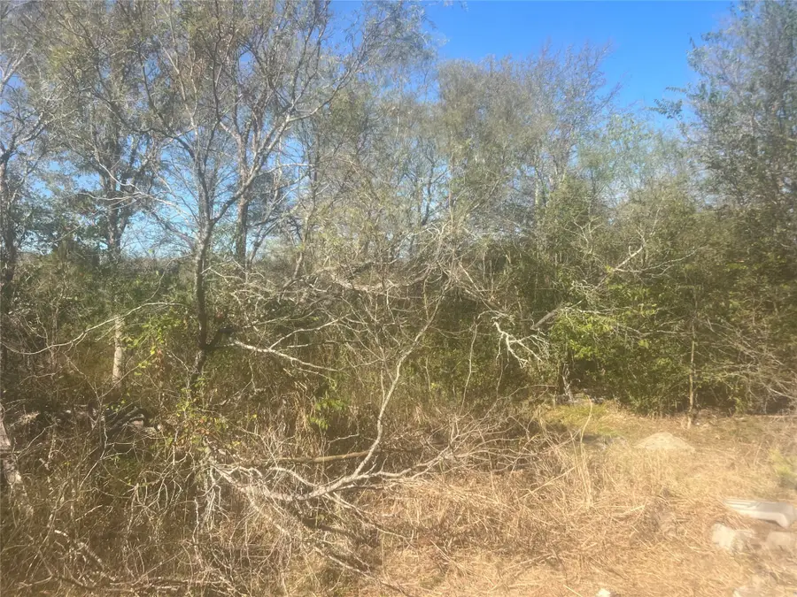 23933 Sagewood Lane, Bedias, TX 77831 - Image #2