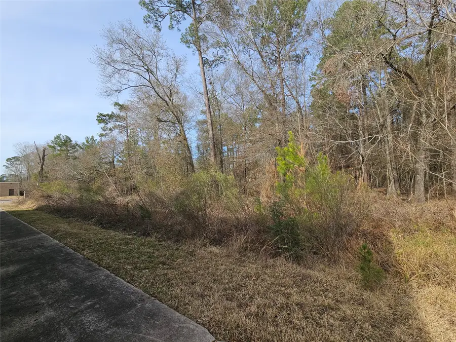 0 Roman Forest Blvd, New Caney, TX 77357 - #2
