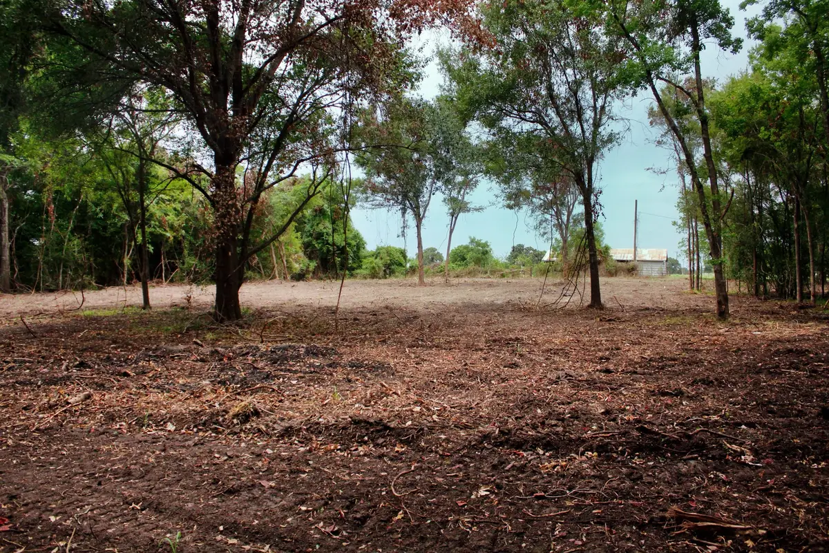 15 Ac Greenbriar Road, Madisonville, TX 77864 - #1