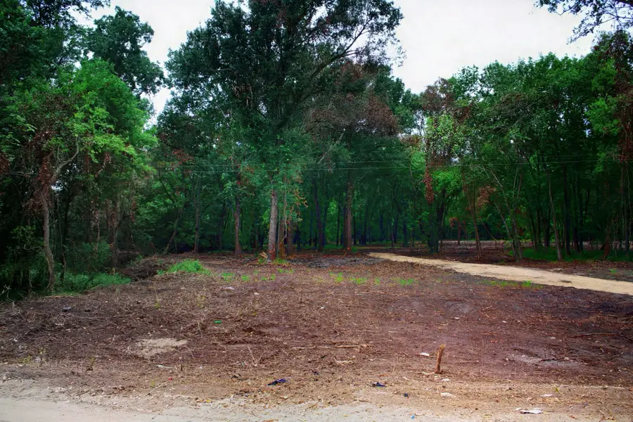 15 Ac Greenbriar Road, Madisonville, TX 77864 - #3