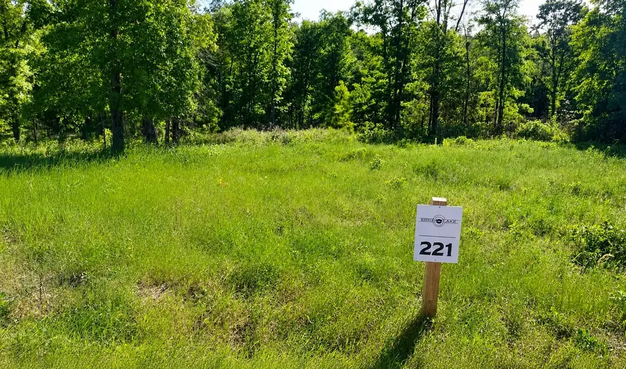 TBD Lot 221 Vintage Rd, Livingston, TX 77351 - #3