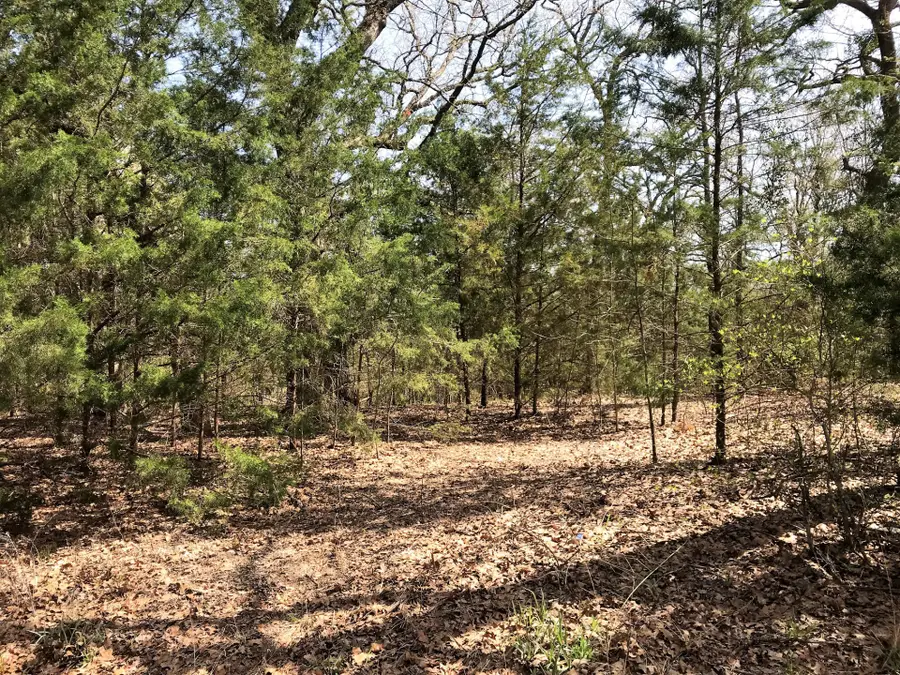 22315 Walnut Lane, Mineola, TX 75773 - #2