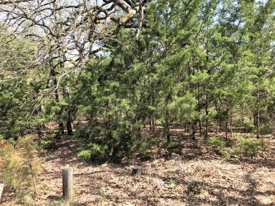22315 Walnut Lane, Mineola, TX 75773 - #3
