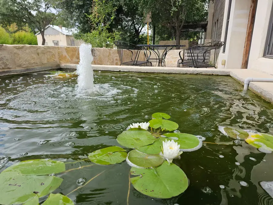 613 Indianola Street, San Antonio, TX 78210 - #2