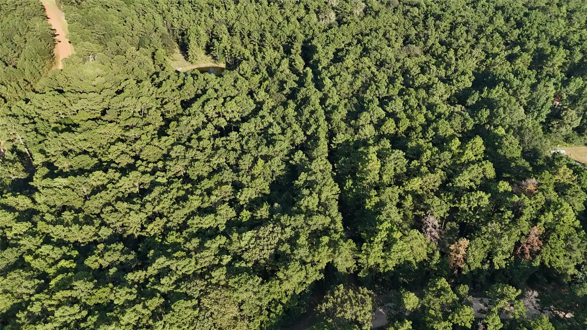 Lot 26 Deer Run Road, Chester, TX 75936 - #1