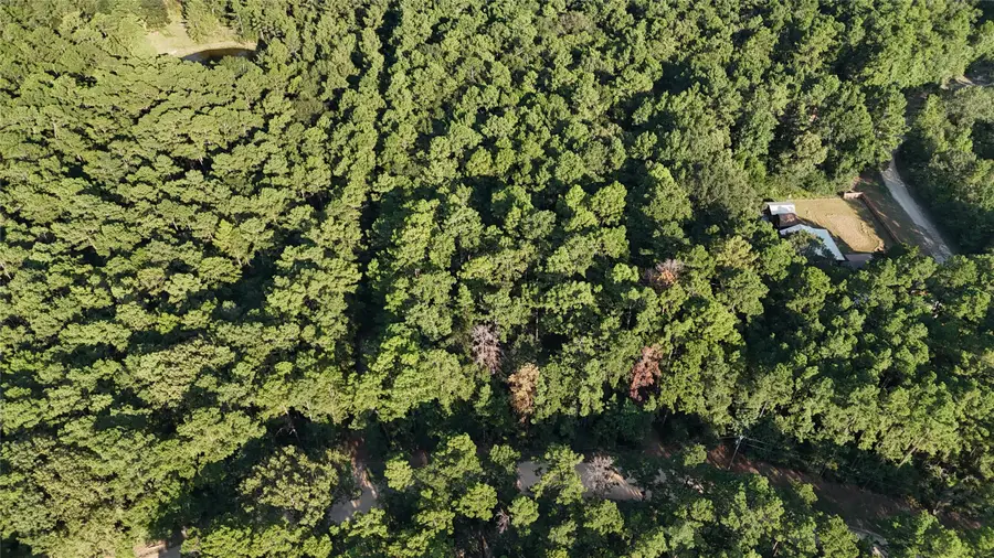 Lot 26 Deer Run Road, Chester, TX 75936 - #2