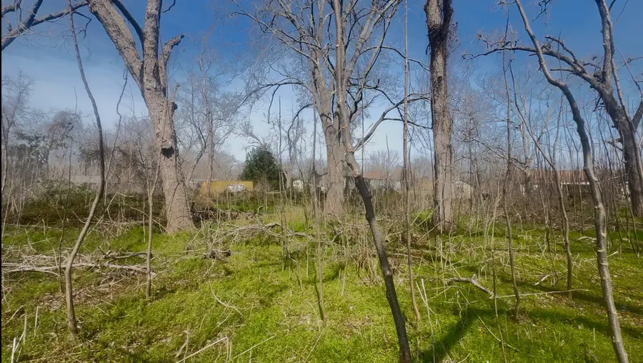 5760-1630-000 Igloo Lane, Holiday Lakes, TX 77515 - #2