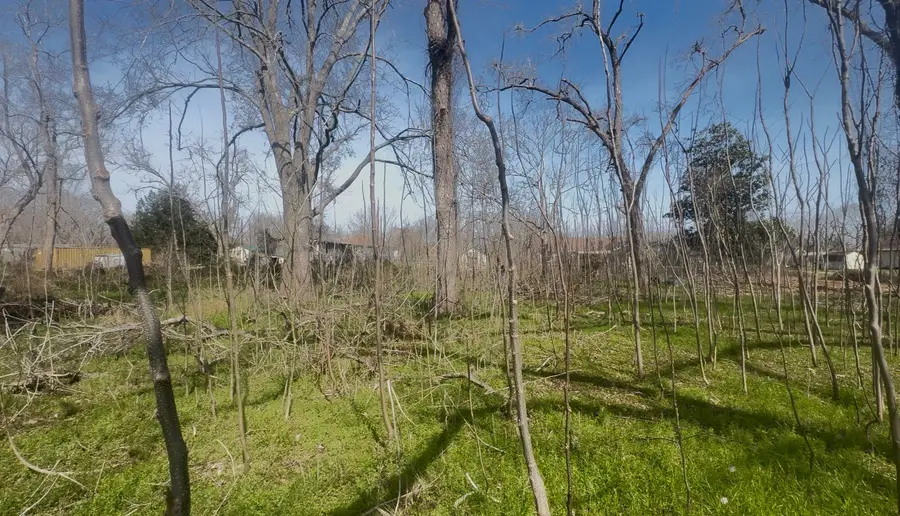 5760-1630-000 Igloo Lane, Holiday Lakes, TX 77515 - #3