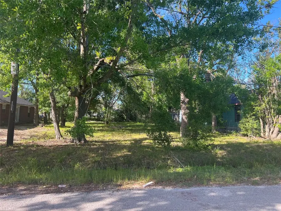 1038 Randolph Street, Houston, TX 77088 - #2