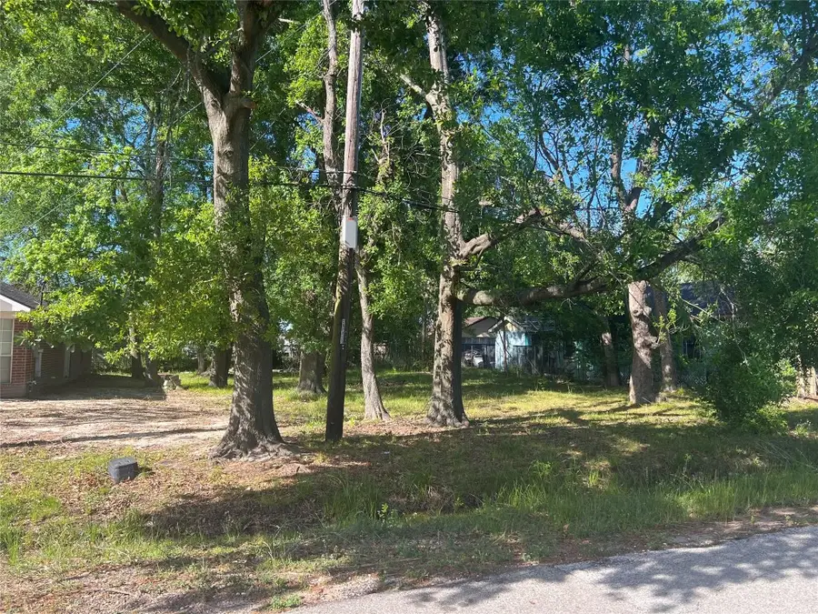 1038 Randolph Street, Houston, TX 77088 - #3