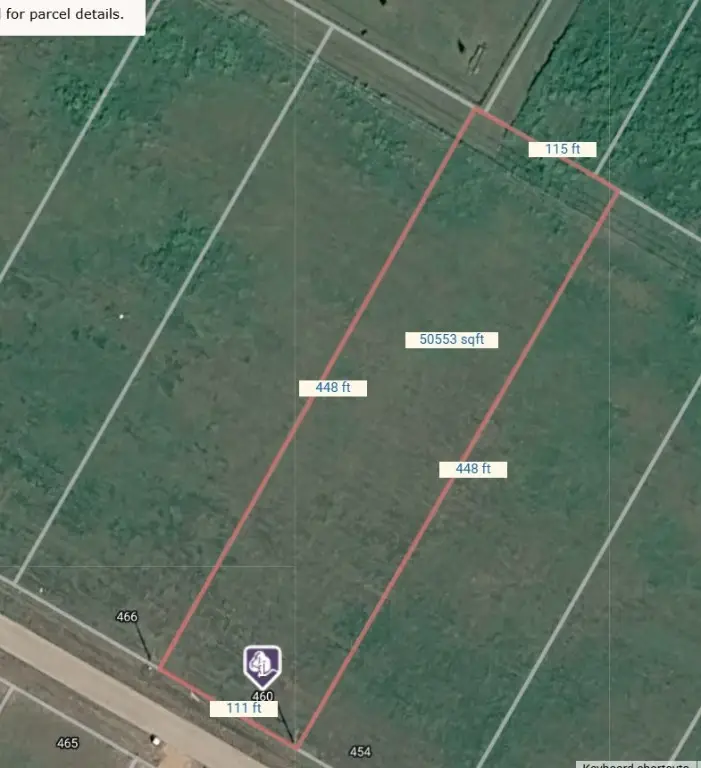 460 Angus Trail, Angleton, TX 77515 - #2