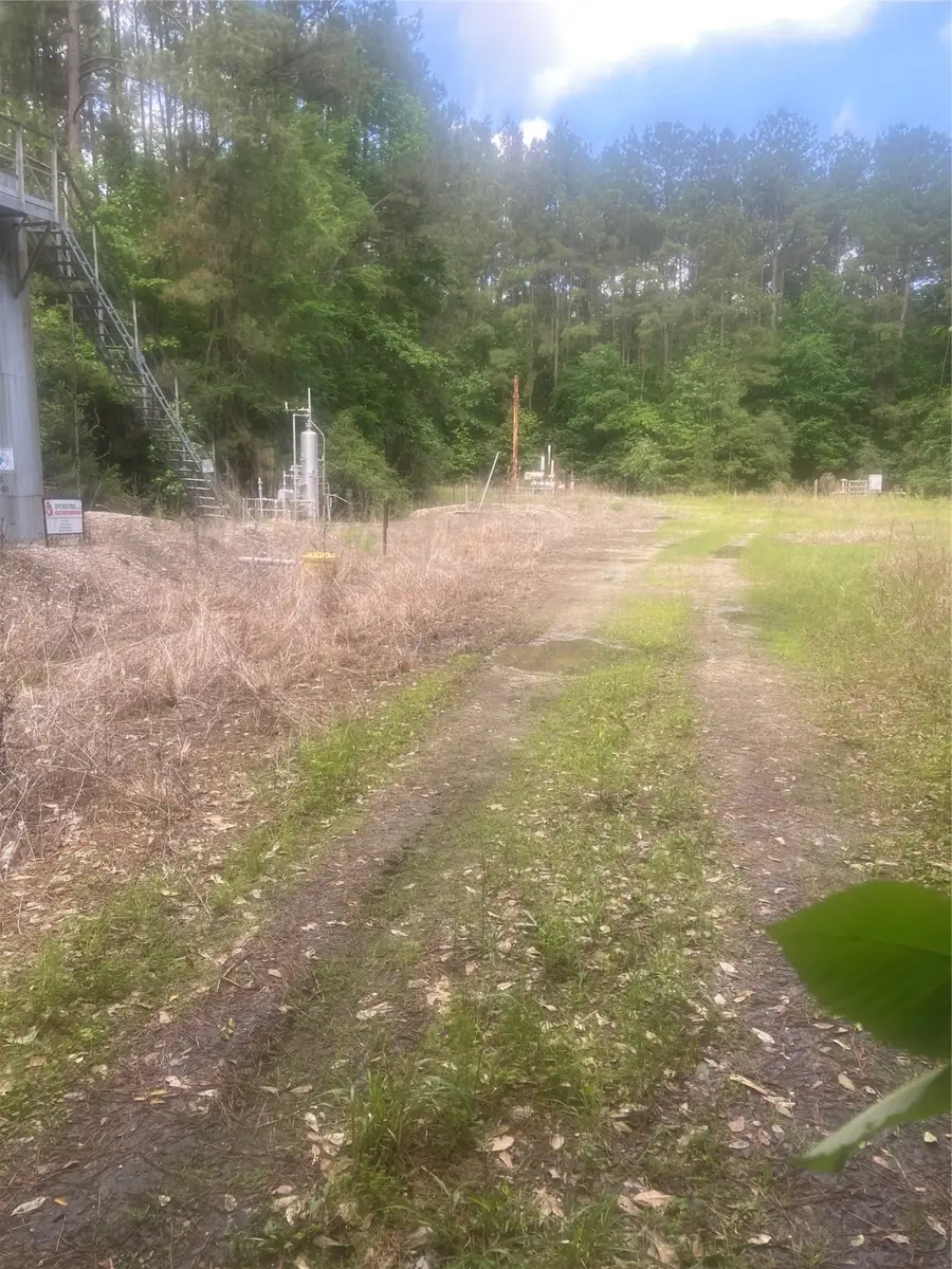 251 Pickens Loop, Livingston, TX 77351 - Image #2