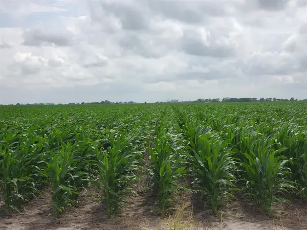 0 County Road 208, Ganado, TX 77962