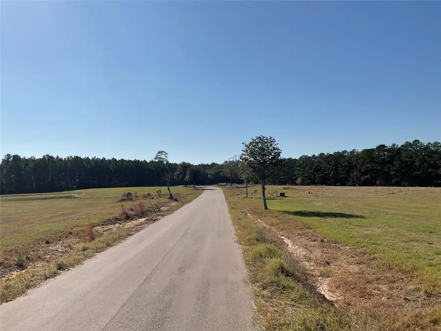 LOT 14 Lakeland Drive, Hillister, TX 77624 - Image #2