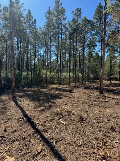 TBD FM 350 South, Lot 7 Fm-350 S, Livingston, TX 77351 - Image #2