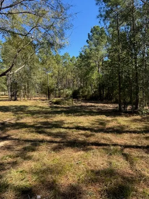 TBD FM 350 South, Lot 7 Fm-350 S, Livingston, TX 77351 - Image #3