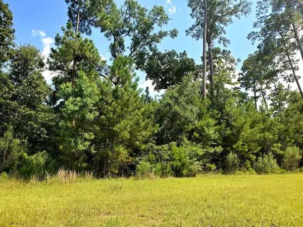 113 Kings Lake Estates Boulevard, Humble, TX 77346