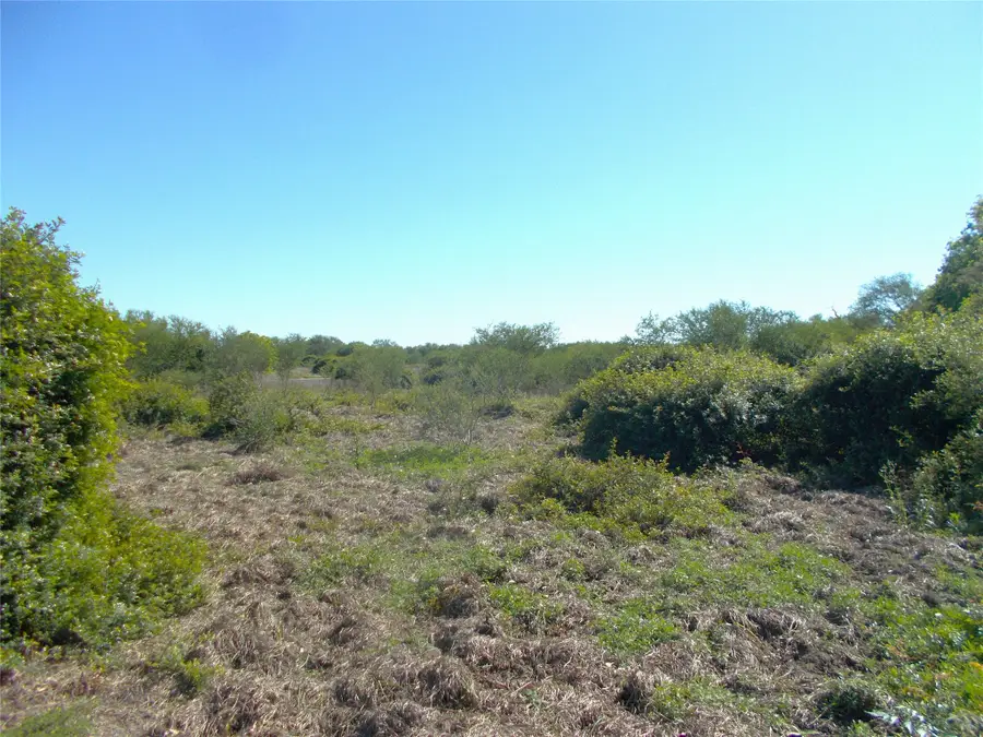 968 County Road 7, Damon, TX 77430 - #3