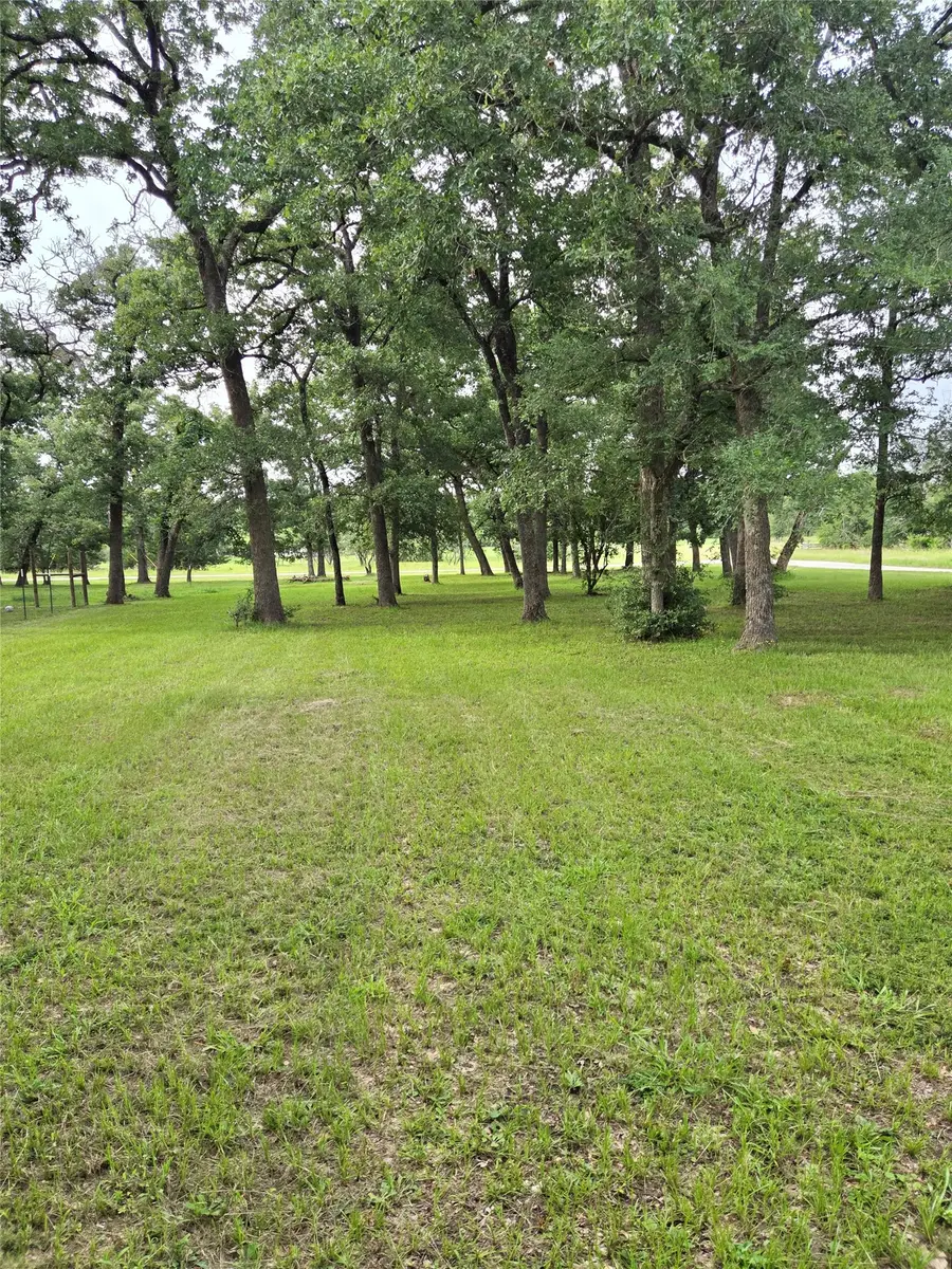1343 Rocky Lane, Bedias, TX 77831 - #3