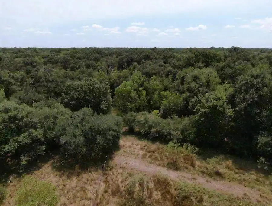 7800 A Brazos River Road, Damon, TX 77430 - #2
